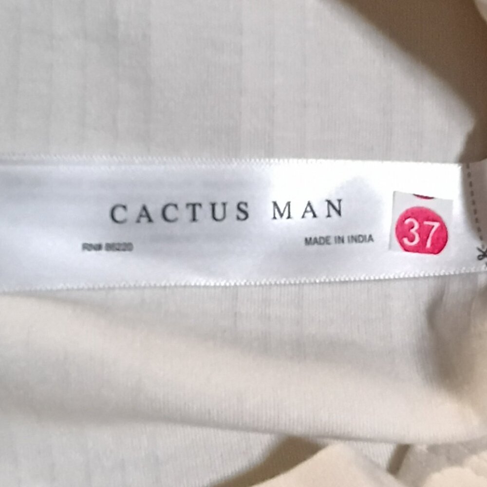 Cactus Man by Ricky Singh - Picture 2 of 10